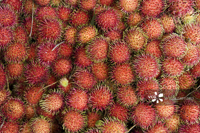 红色毛荔枝图片素材