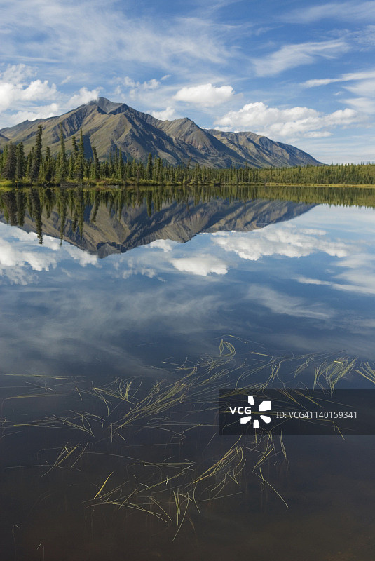 阿拉斯加塔尔基特纳山脉图片素材