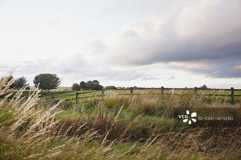 爱尔兰威斯特米斯郡的牧场景观图片素材
