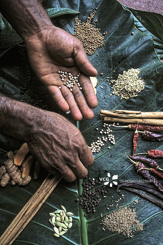 科瓦拉姆的香料花园图片素材