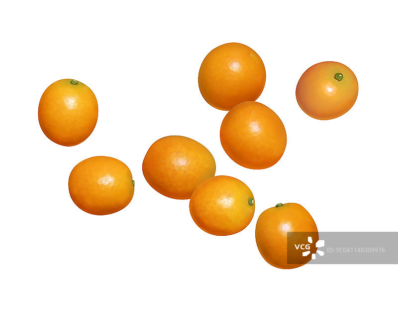 金橘图片素材