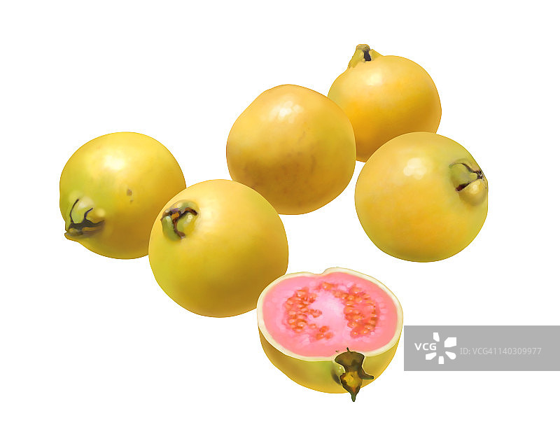 番石榴图片素材