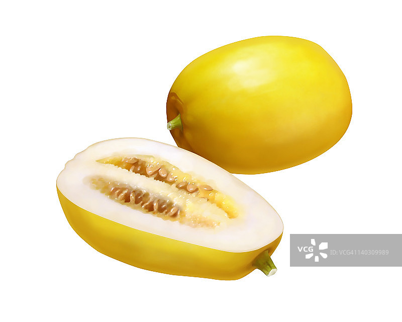 东方甜瓜图片素材