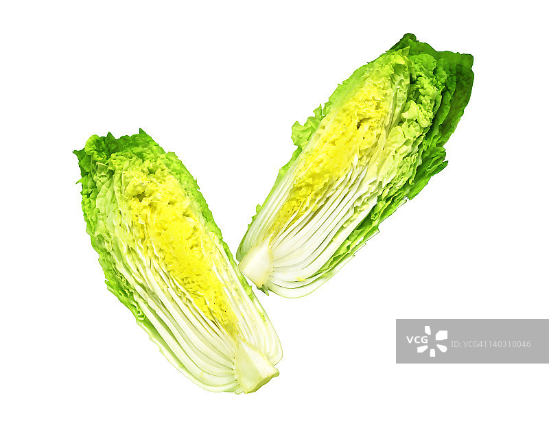 大白菜图片素材