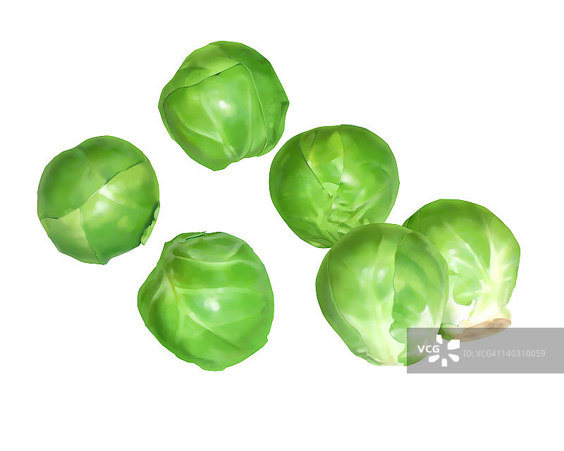 球芽甘蓝图片素材
