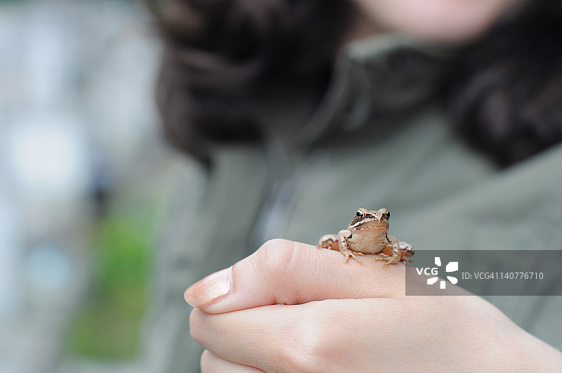 拿着小青蛙的女孩图片素材