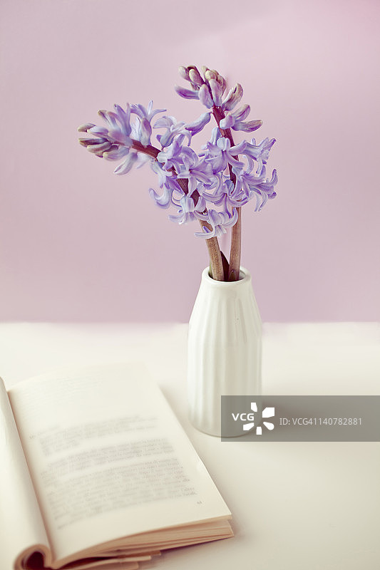 紫花花瓶图片素材