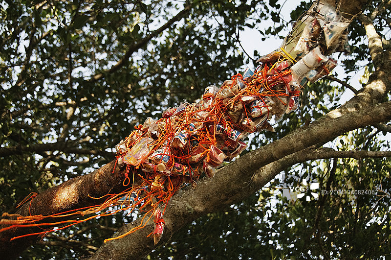 系在树上的神圣丝线，印度安得拉邦吉图尔图片素材
