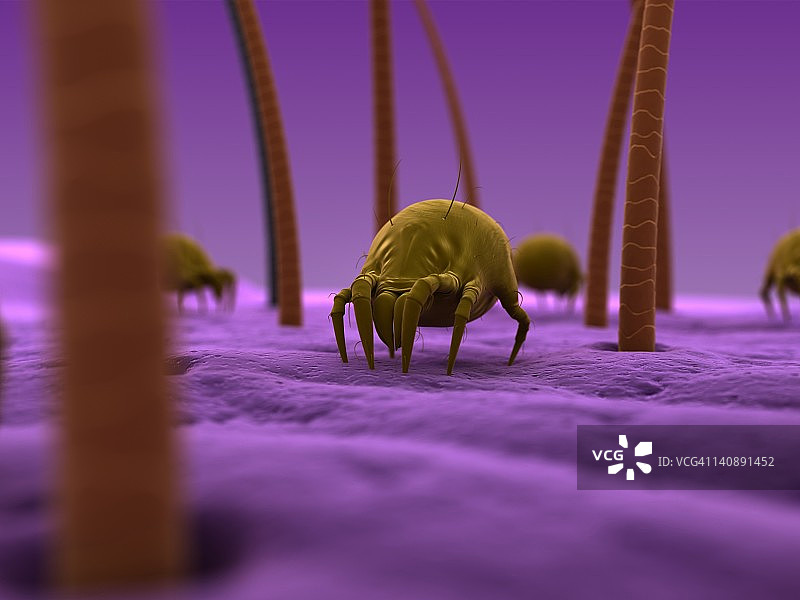 尘螨艺术作品图片素材