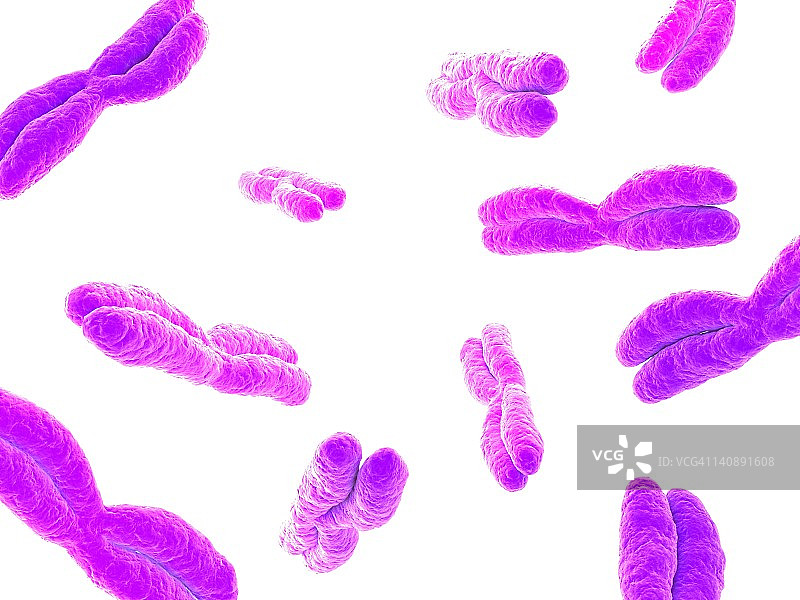 染色体艺术图图片素材