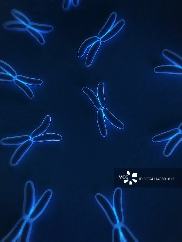 染色体艺术图图片素材