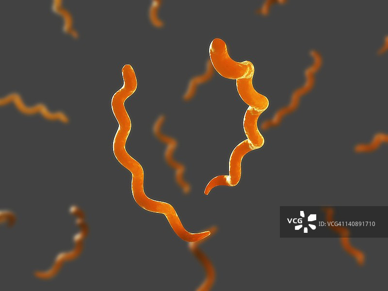 梅毒螺旋菌艺术图图片素材