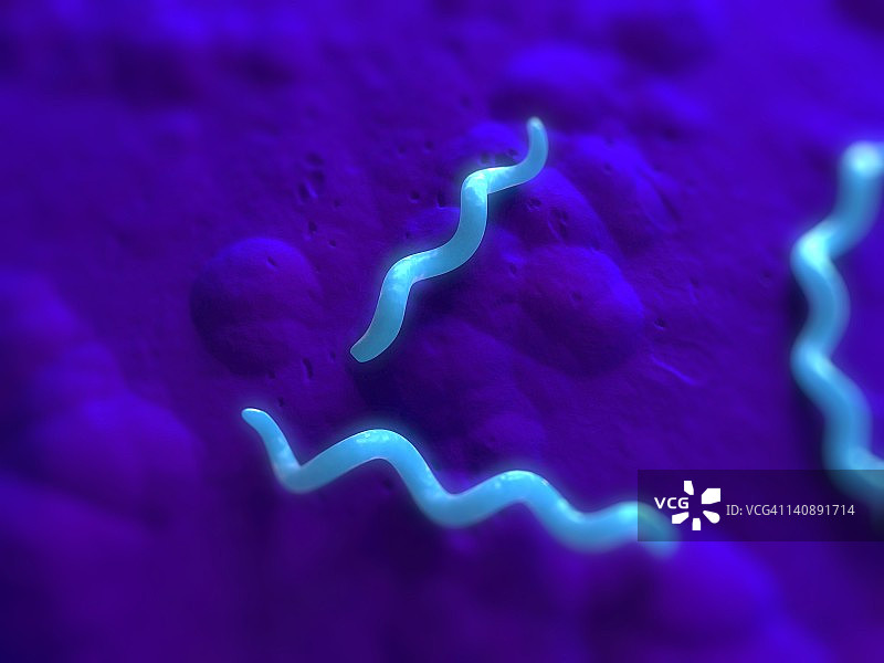 螺旋菌细菌艺术图图片素材