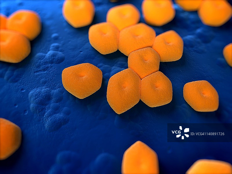 不动杆菌细菌艺术图图片素材