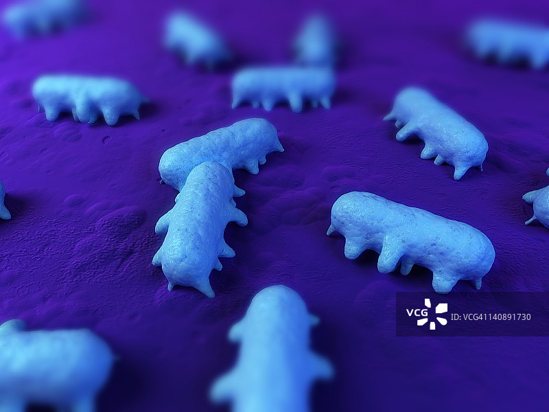 沙门氏菌细菌图片素材