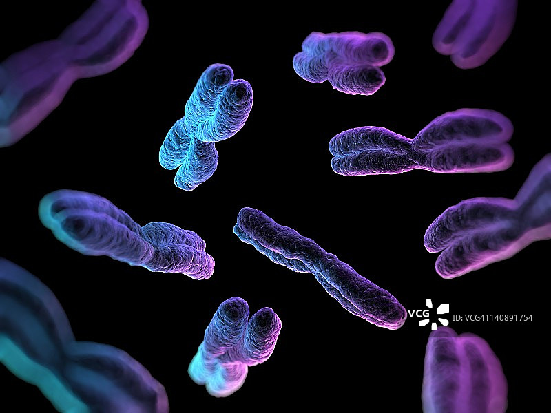 染色体艺术图图片素材