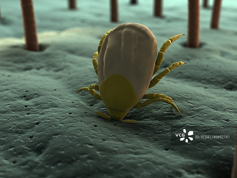 勾号艺术作品图片素材