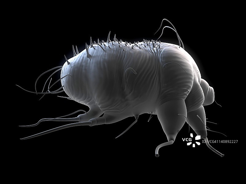 疥螨艺术图图片素材