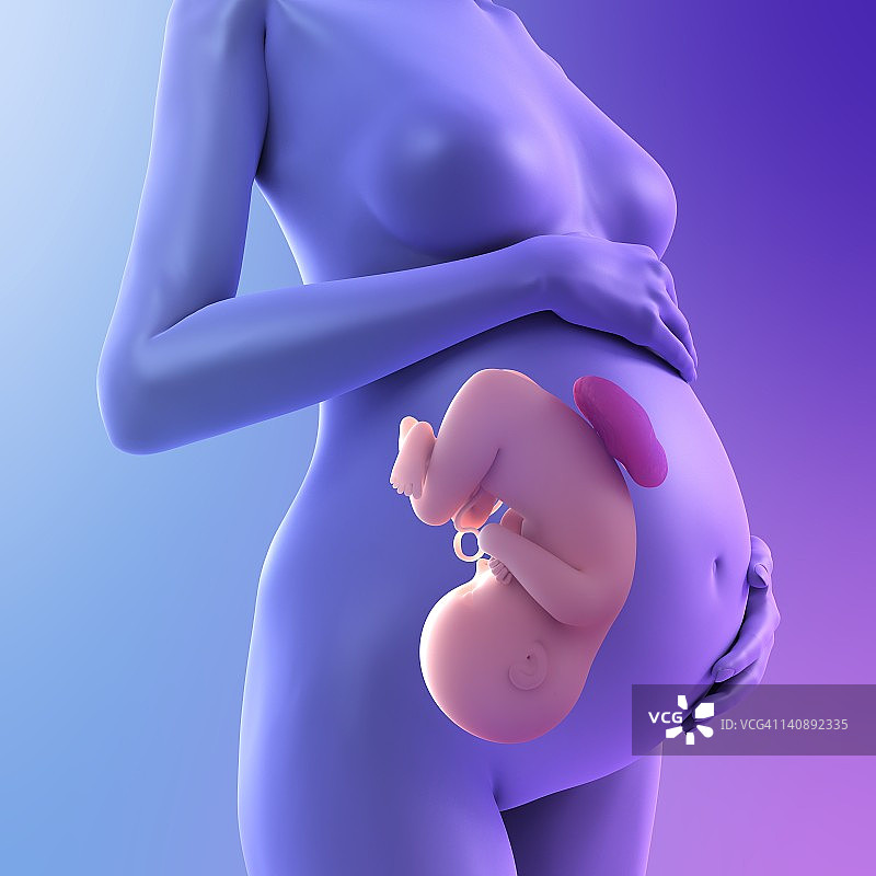 妊娠期概念艺术作品图片素材