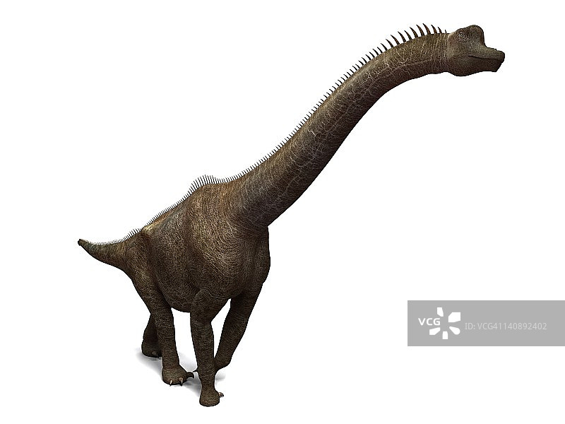 腕龙恐龙艺术作品图片素材