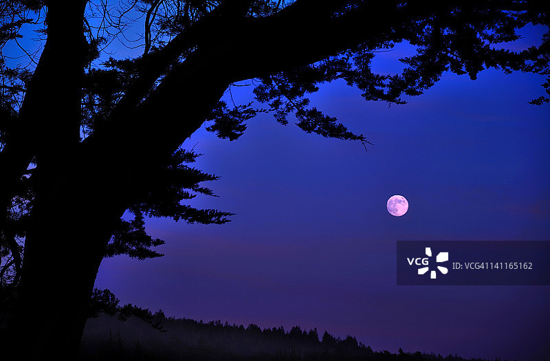 海上满月图片素材