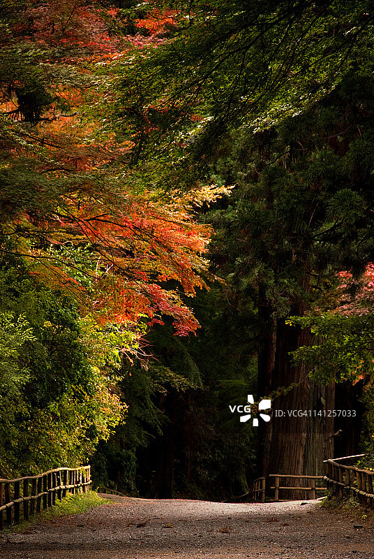 和平之路图片素材