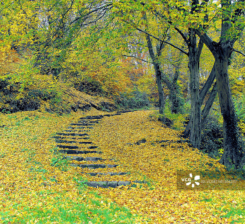 惠特克利夫步道，卢德洛图片素材