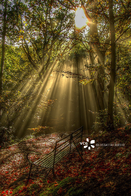 的光芒图片素材