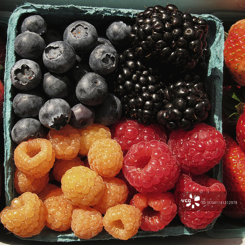 浆果精选图片素材