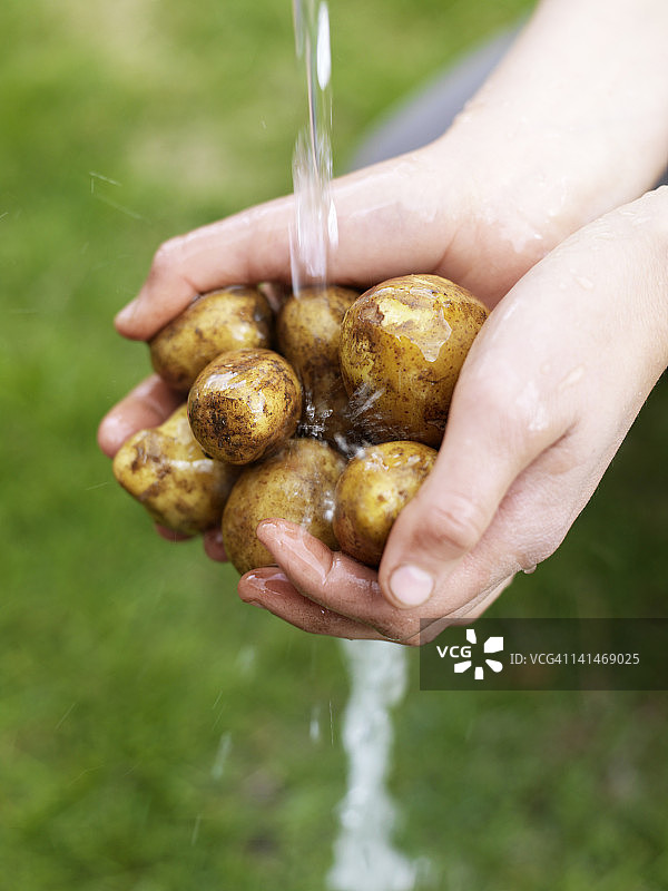 女人在水龙头下清洗土豆图片素材