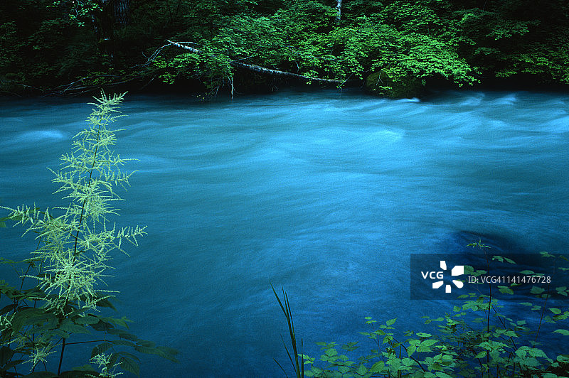 绿色河流图片素材
