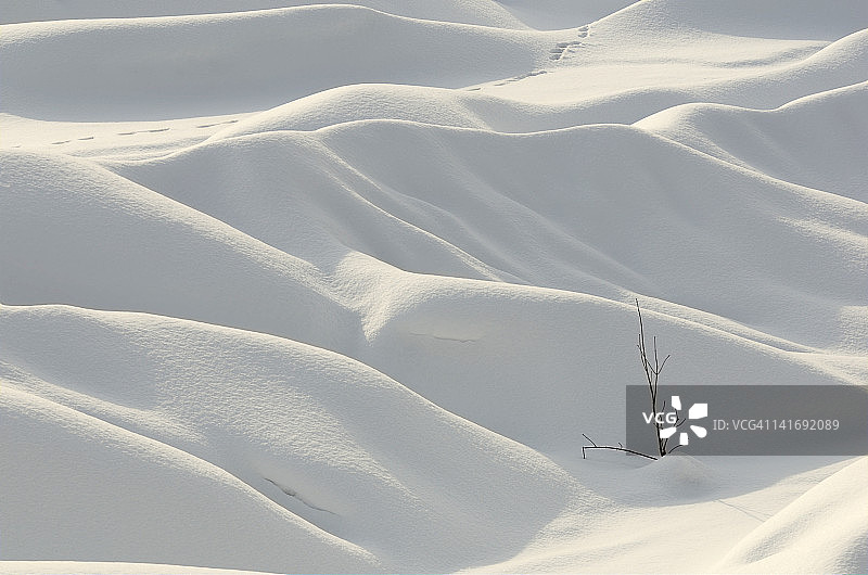 白色雪地和动物足迹图片素材