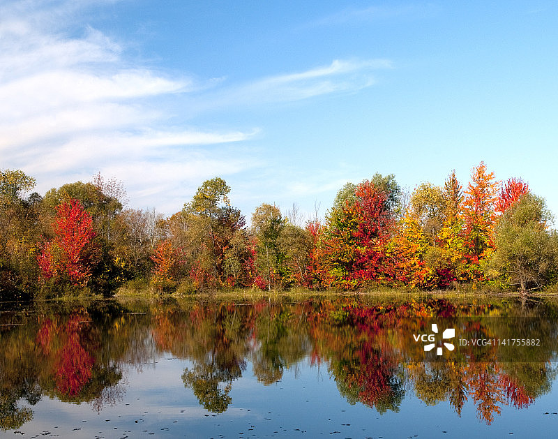 湖中倒映的秋树图片素材