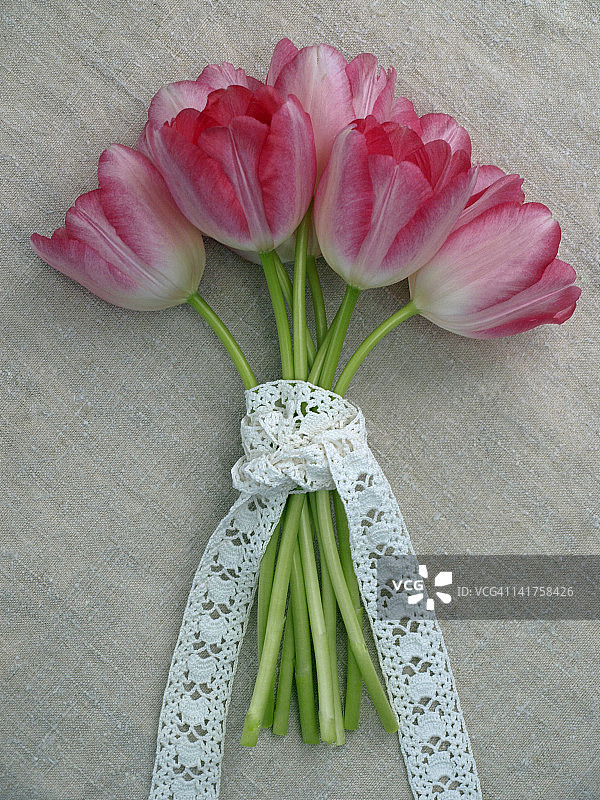 系着蕾丝带的粉色郁金香花束图片素材