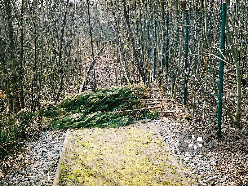 倒在路上的树木图片素材