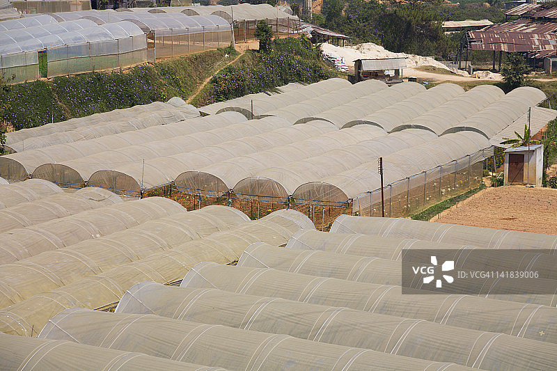 越南林同省中部高原大叻塑料大棚图片素材