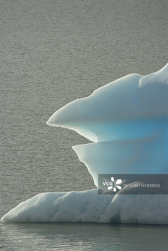 智利百内国家公园格雷湖中漂浮的冰山图片素材