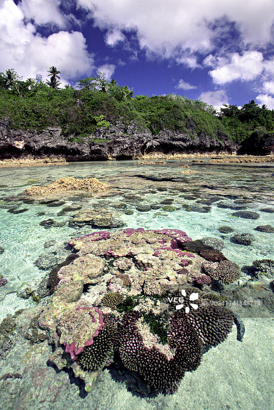 纽埃岛，南太平洋，利木水池，珊瑚和鱼，地球上最大的高架珊瑚环礁图片素材