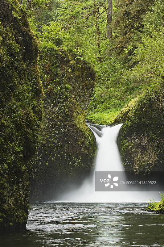 俄勒冈州哥伦比亚河峡谷胡德山国家森林公园的潘趣碗瀑布图片素材