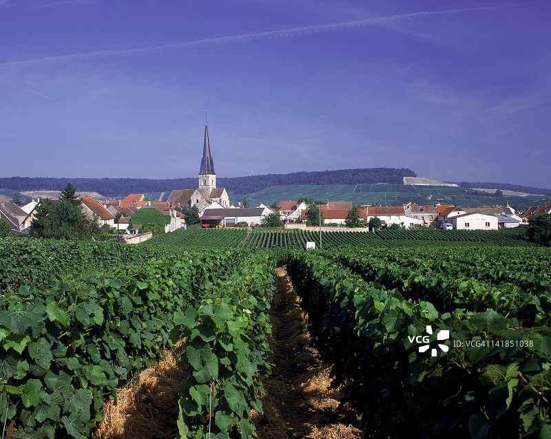 法国埃佩尔奈附近香槟区的沙梅里村图片素材
