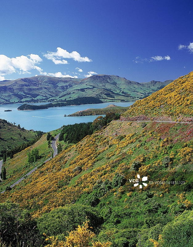 新西兰南岛基督城山丘与港口图片素材