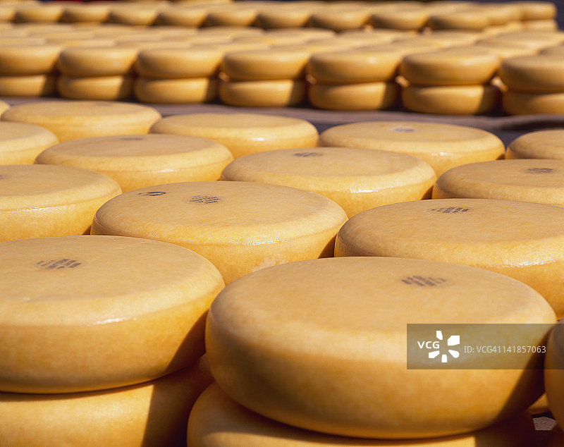 豪达奶酪，荷兰阿尔克马尔图片素材
