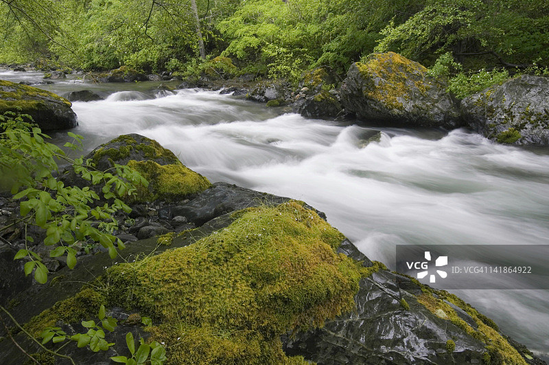 锡斯基尤国家森林，伊利诺伊河谷萨克溪的瀑布，位于锡斯基尤山脉，俄勒冈州南部，鲑鱼栖息地图片素材