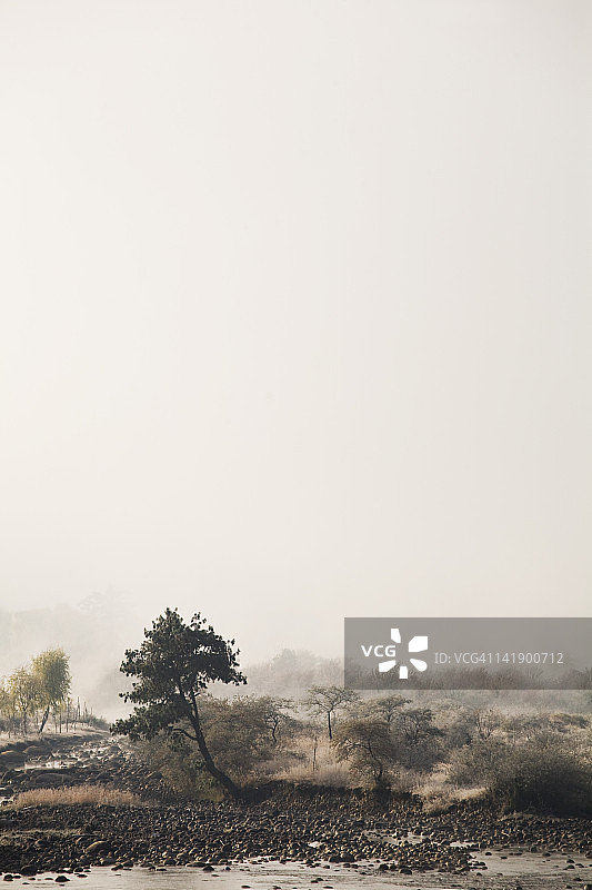 黎明时分结霜的雅卡尔河沿岸图片素材