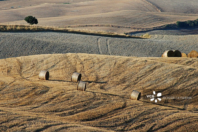 夏季的干草捆图片素材