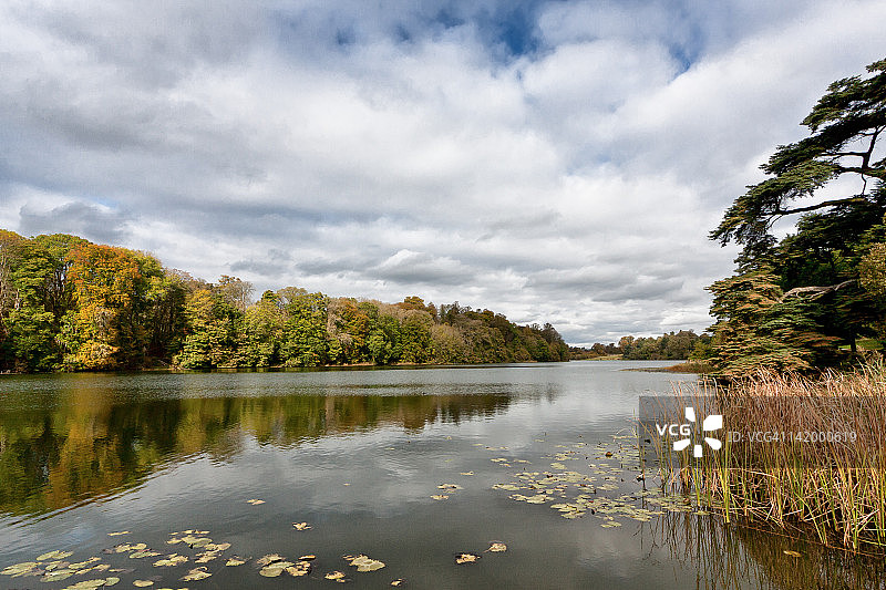 布伦海姆湖畔的秋天的树图片素材