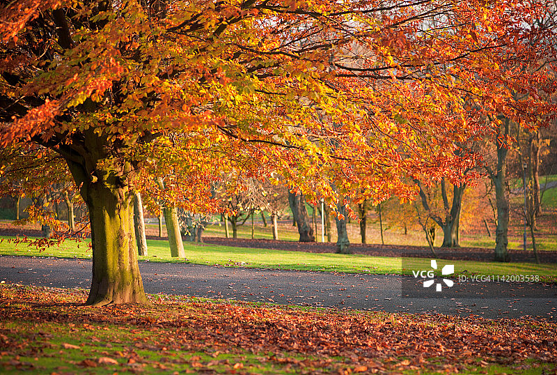 秋天在公园图片素材