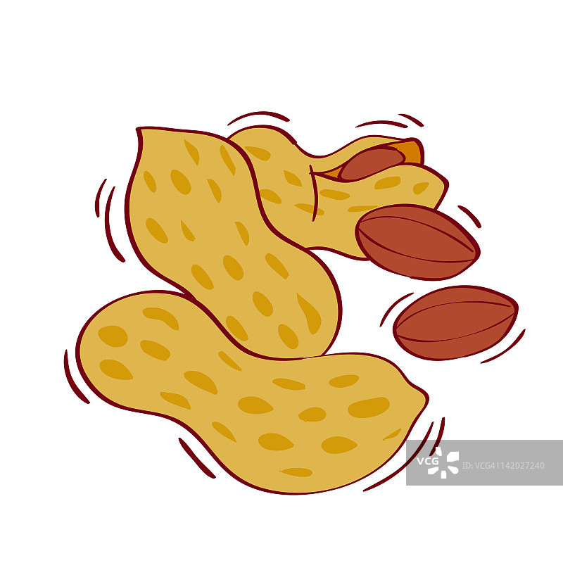 花生插画图片素材