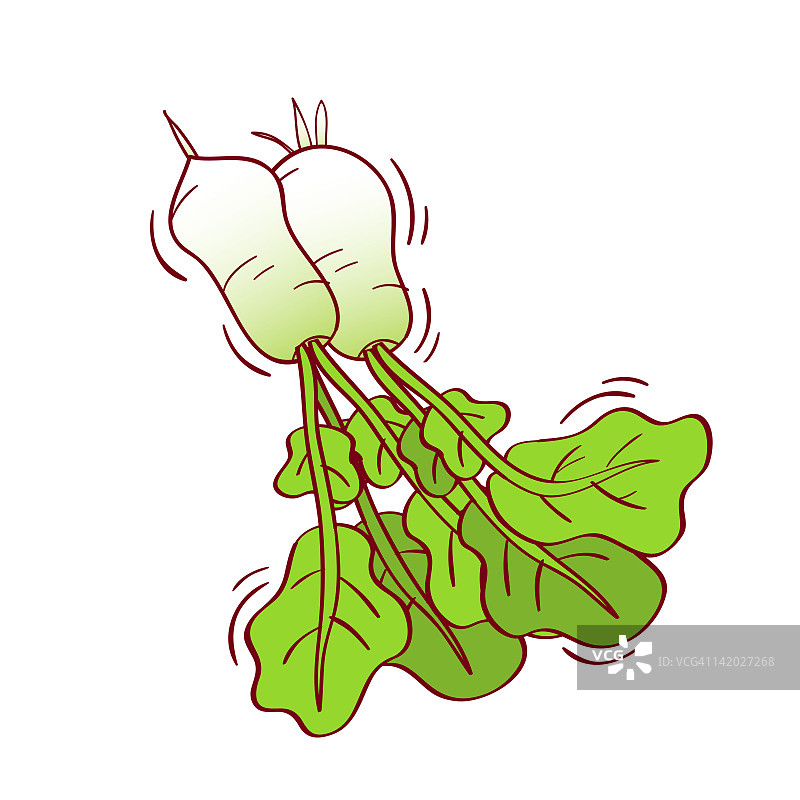 白色背景上的萝卜插画图片素材