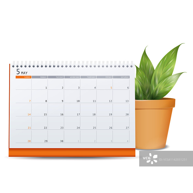 盆栽植物背景日历插画图片素材